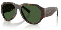 Dolce & Gabbana DG4504 Sunglasses