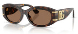 Dolce & Gabbana DG4502 Sunglasses
