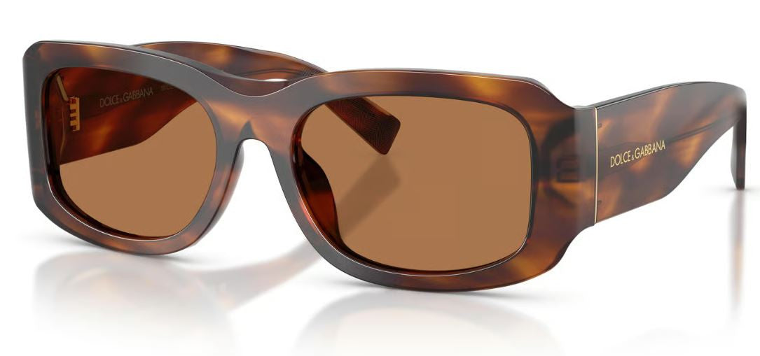 Dolce & Gabbana DG4503 Sunglasses