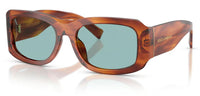 Dolce & Gabbana DG4503 Sunglasses