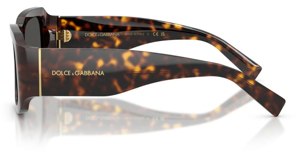 Dolce & Gabbana DG4503 Sunglasses