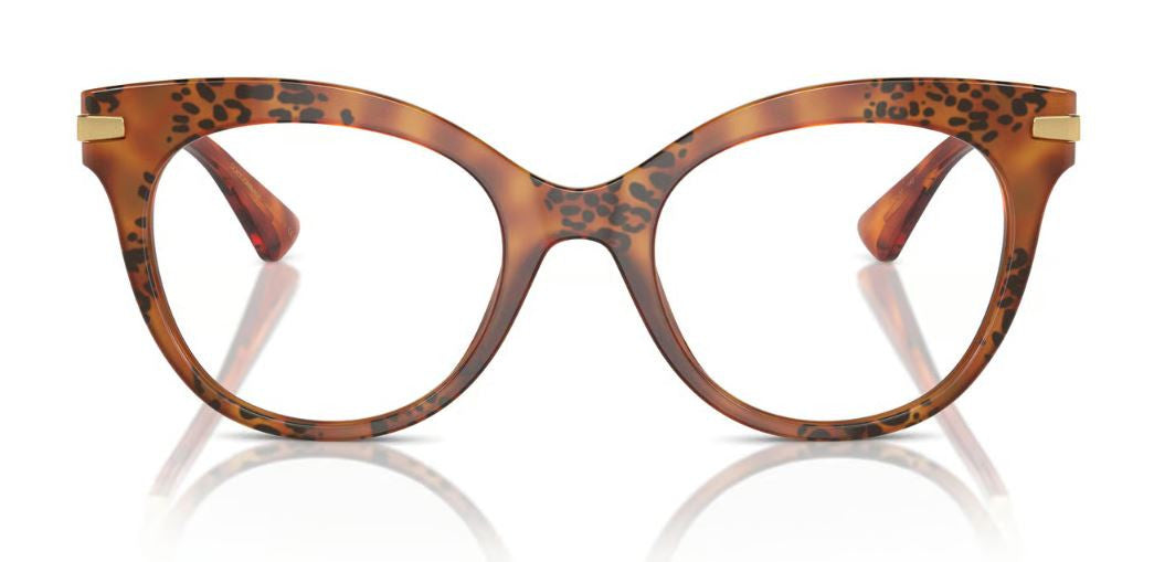 Eyeglasses Dolce & Gabbana DG3392