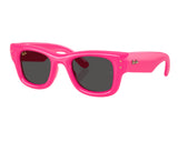 Ray Ban Wayfarer Puffer RB4940 Sunglasses