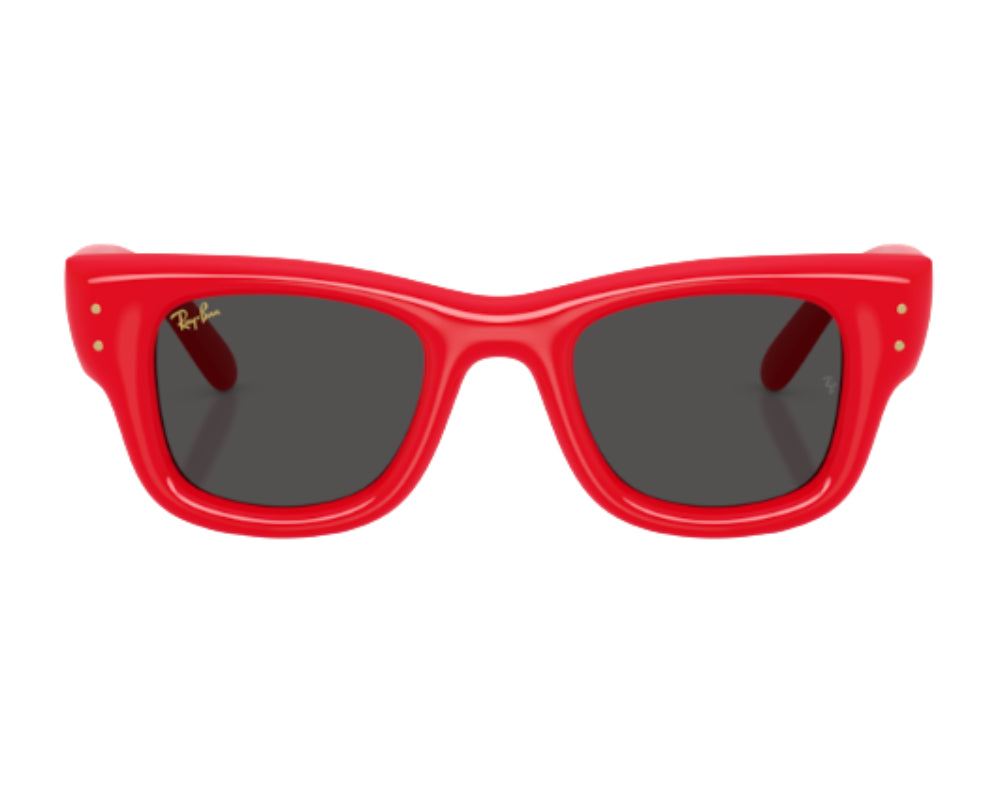 Ray Ban Wayfarer Puffer RB4940 Sunglasses
