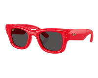 Ray Ban Wayfarer Puffer RB4940 Sunglasses