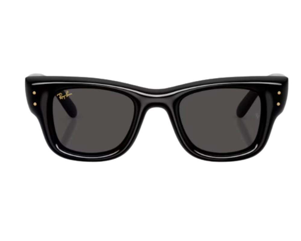 Ray Ban Wayfarer Puffer RB4940 Sunglasses