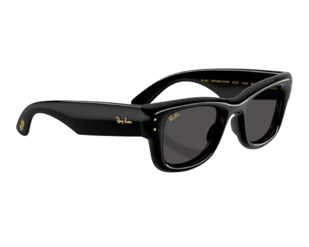 Ray Ban Wayfarer Puffer RB4940 Sunglasses