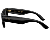 Ray Ban Wayfarer Puffer RB4940 Sunglasses