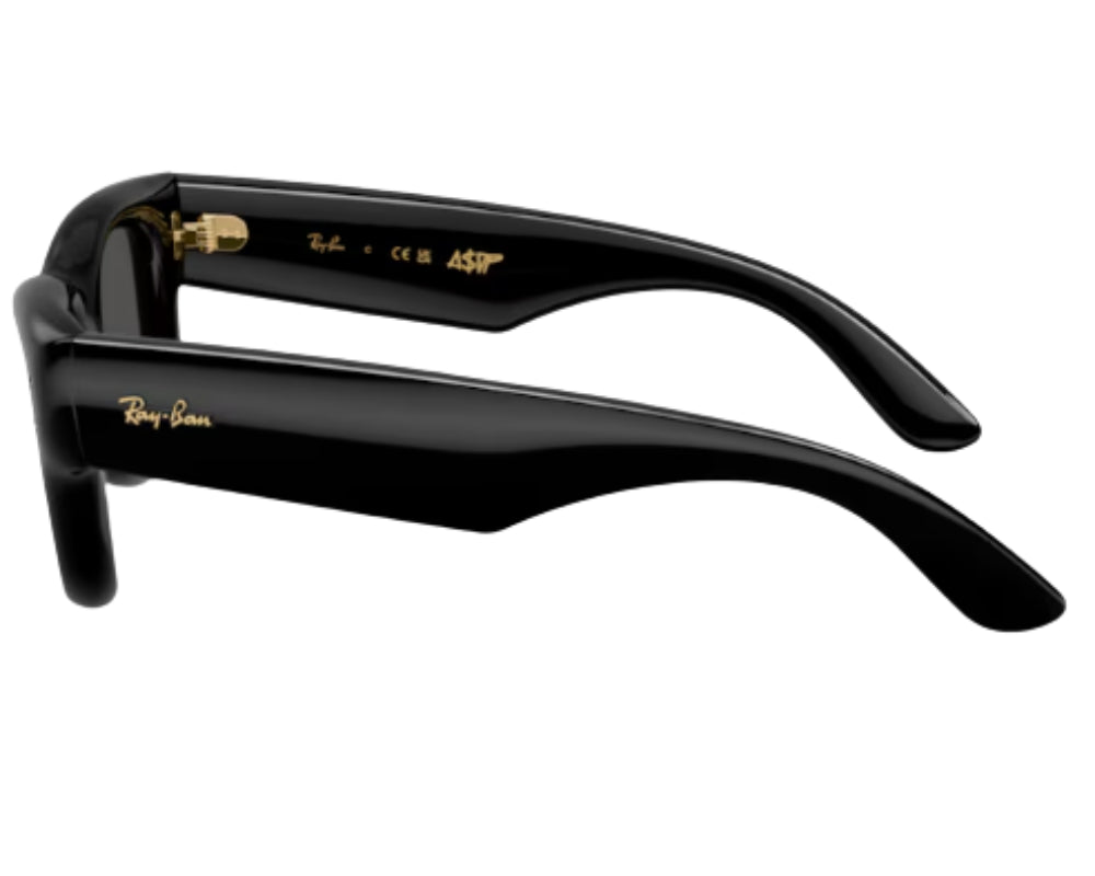 Ray Ban Wayfarer Puffer RB4940 Sunglasses