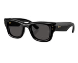 Ray Ban Wayfarer Puffer RB4940 Sunglasses