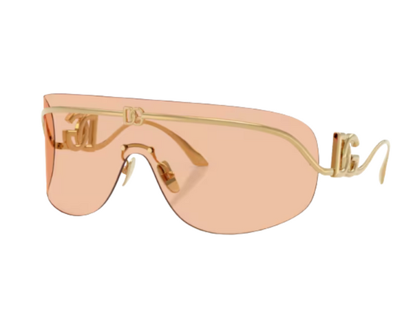 Zonnebrillen Dolce Gabbana DG2320