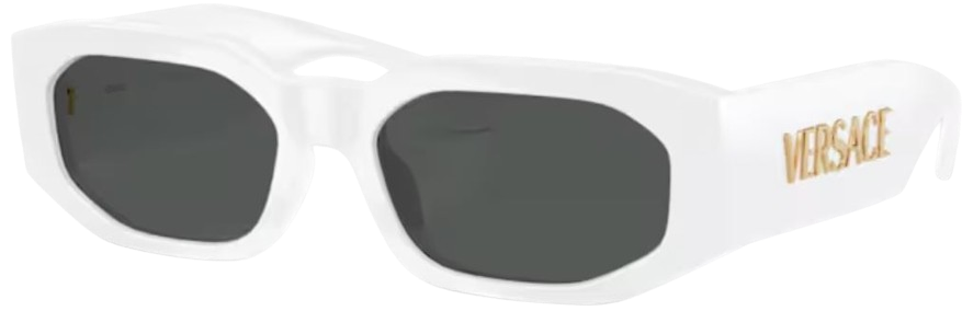 Occhiali da Sole Versace VE4489U