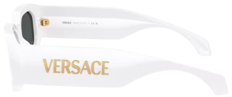 Occhiali da Sole Versace VE4489U