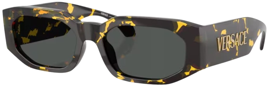 Occhiali da Sole Versace VE4489U