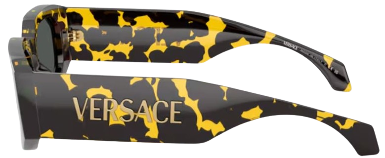 Occhiali da Sole Versace VE4489U