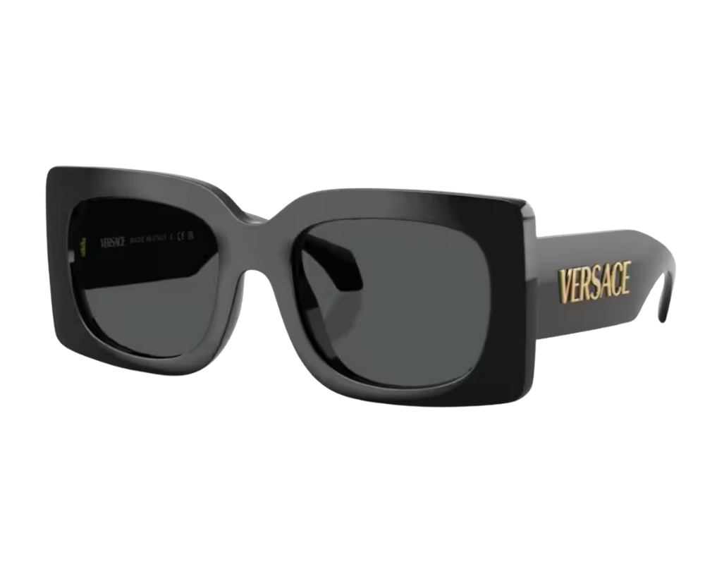 Gafas de sol Versace VE4496U