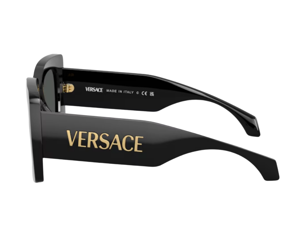 Gafas de sol Versace VE4496U