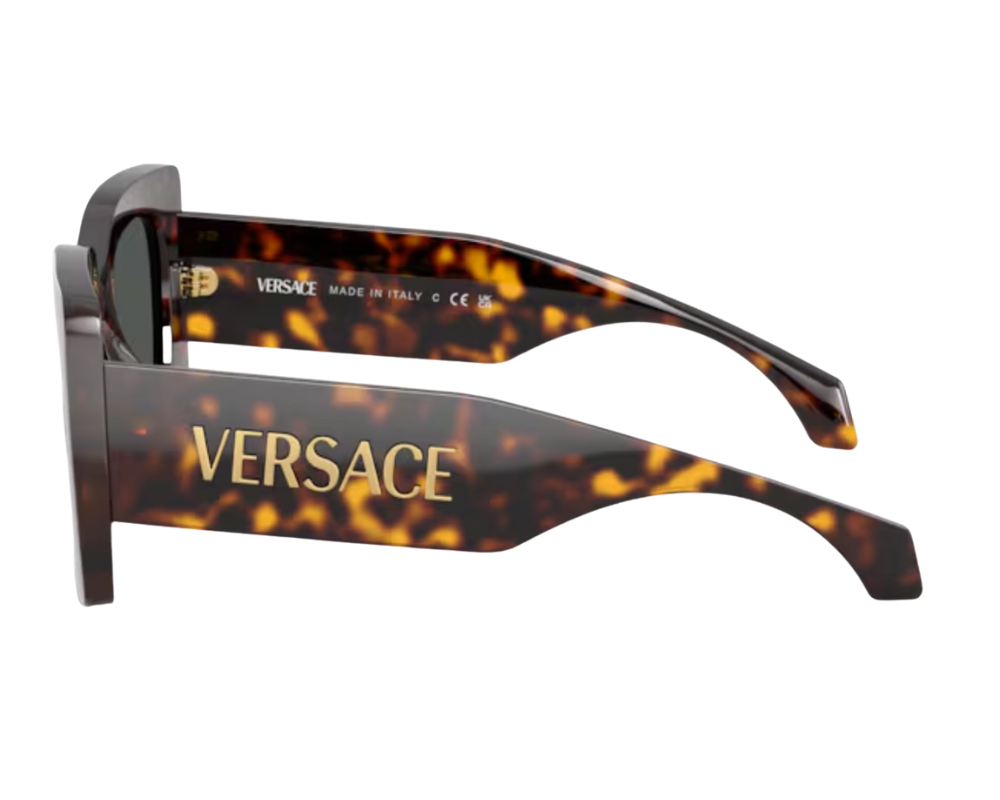 Gafas de sol Versace VE4496U