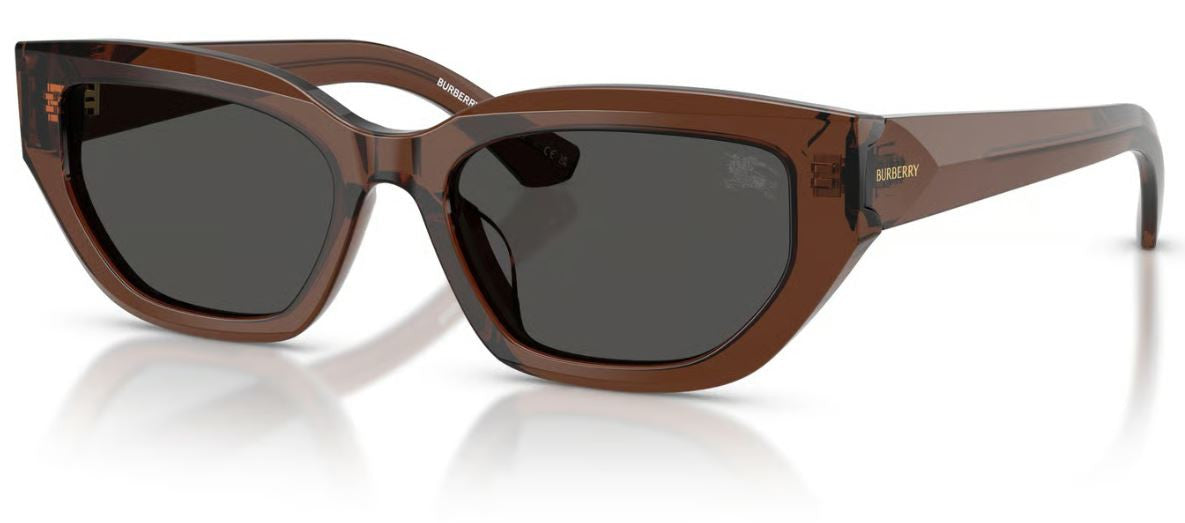 Gafas de Sol Burberry BE4463D