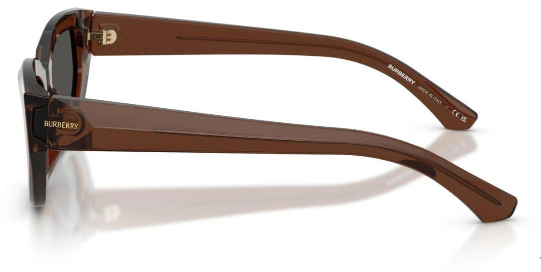 Gafas de Sol Burberry BE4463D