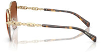 Michael Kors Dorado Beach MK1163 Sunglasses