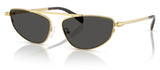 Michael Kors Buenos Aires MK1164 Sunglasses