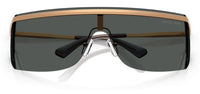 Michael Kors Palisades MK1169 Sunglasses