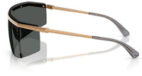 Michael Kors Palisades MK1169 Sunglasses