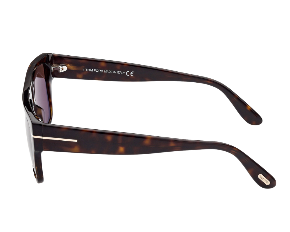Tom Ford FT0907 Dunning-02 Sunglasses