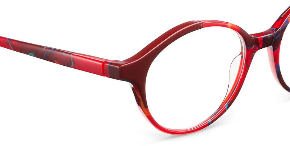 Brille Etnia Barcelona ROWANE