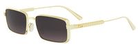 Dior DIORCANNAGE S2U Sunglasses
