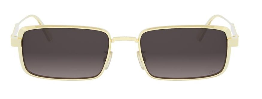 Dior DIORCANNAGE S2U Sunglasses