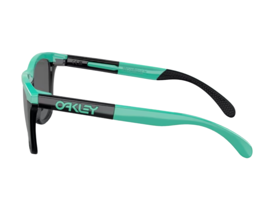 Occhiali da Sole Oakley Frogskins Range OO9284
