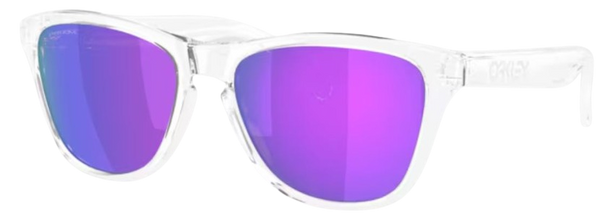 Zonnebril Oakley Frogskins S OO9508