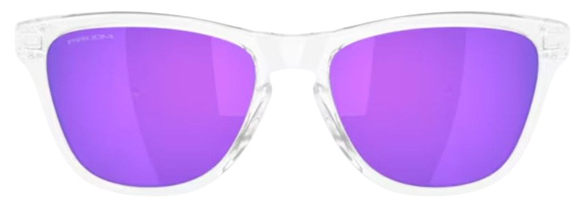 Oakley Frogskins S OO9508 Sunglasses