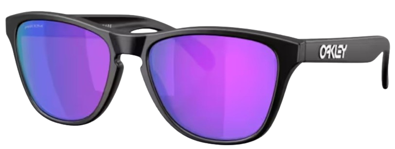 Oakley Frogskins S OO9508 Sunglasses