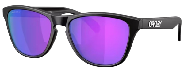 Zonnebril Oakley Frogskins S OO9508