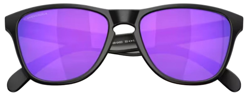 Oakley Frogskins S OO9508 Sunglasses