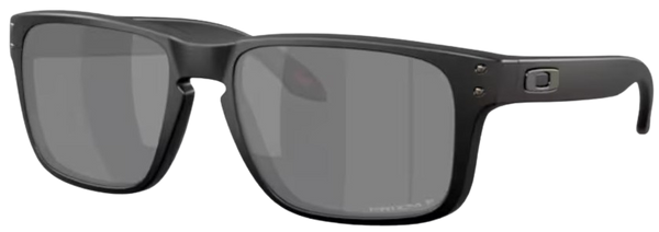 Zonnebril Oakley Holbrook S OO9509
