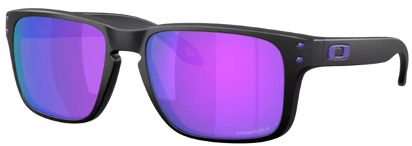 Zonnebril Oakley Holbrook S OO9509