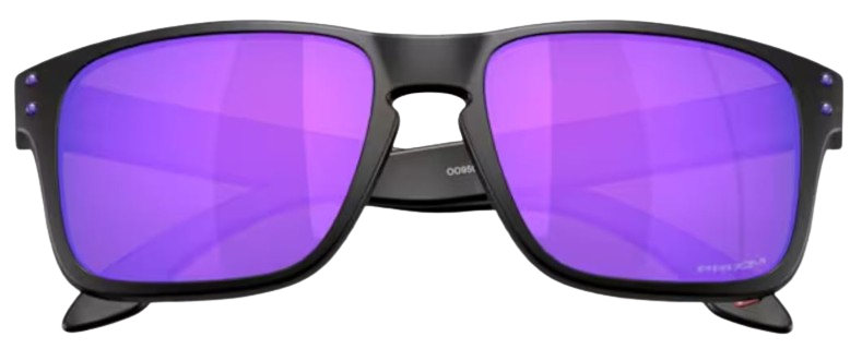 Oakley Holbrook S OO9509 Sunglasses