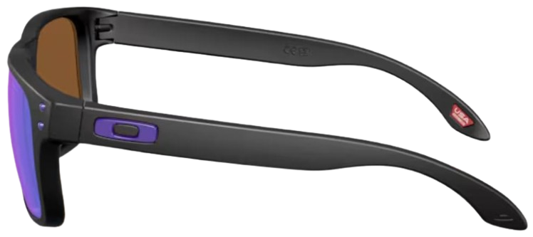 Oakley Holbrook S OO9509 Sunglasses