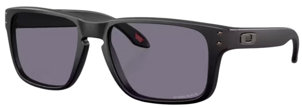 Zonnebril Oakley Holbrook S OO9509