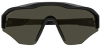 Gucci Institutional Logo GG2017S Sunglasses