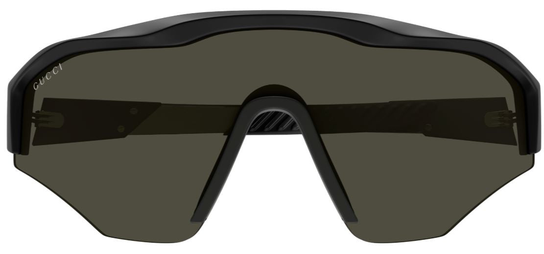 Gucci Institutional Logo GG2017S Sunglasses