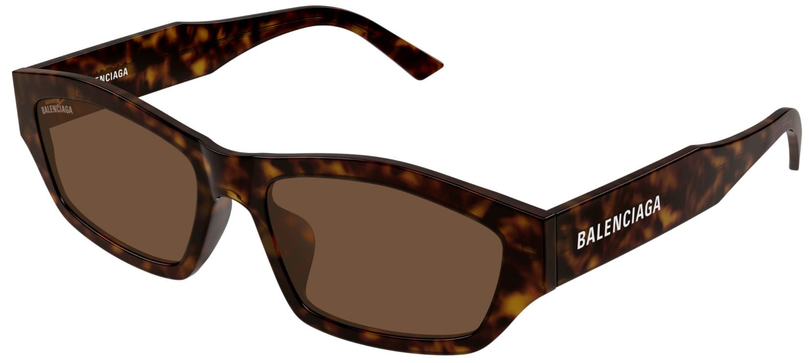 Balenciaga Everyday BB0448SK sunglasses