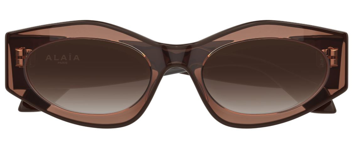 Alaia AA0093S Lettering Logo Sunglasses