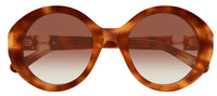 Gafas de sol Chloe CH0332S