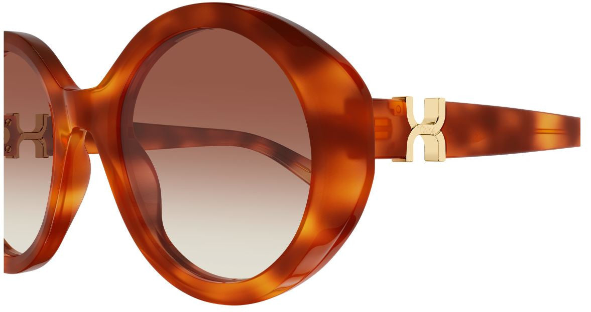 Gafas de sol Chloe CH0332S