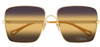 Occhiali da sole Chloe CH0324S